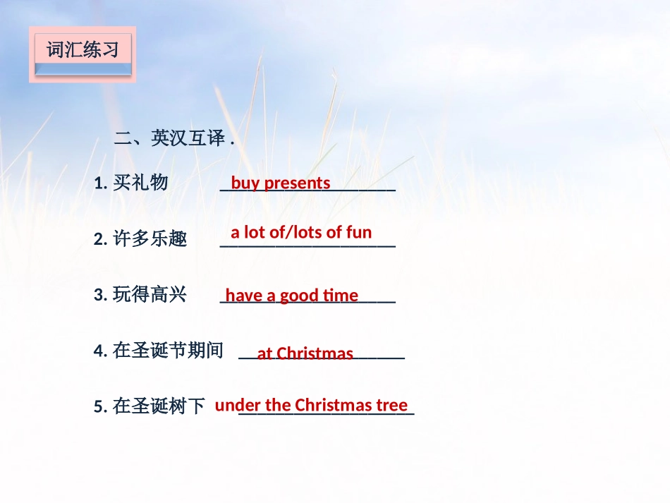 《At Christmas》课堂练习PPT课件_第3页