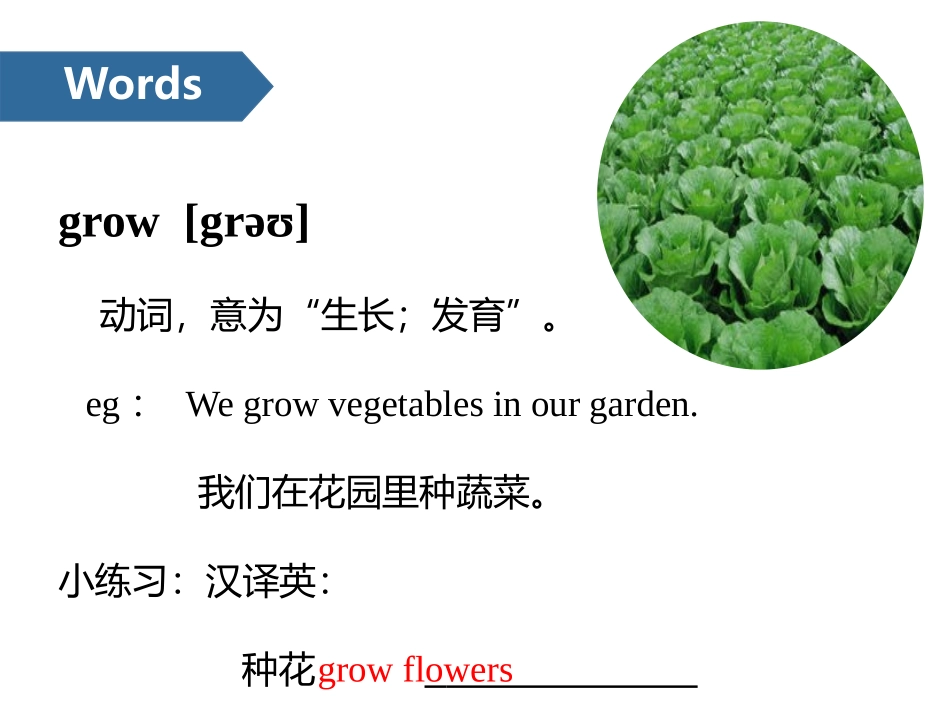 《Helping our parents》PPT课件_第3页