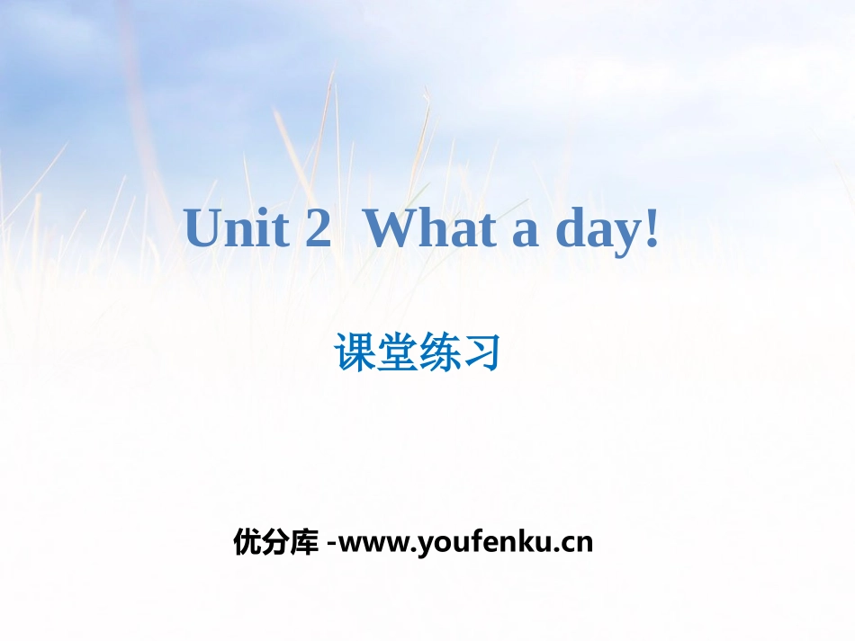 《What a day!》课堂练习PPT课件_第1页