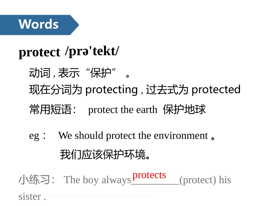 《Protect the Earth》PPT(第一课时)PPT课件_第3页