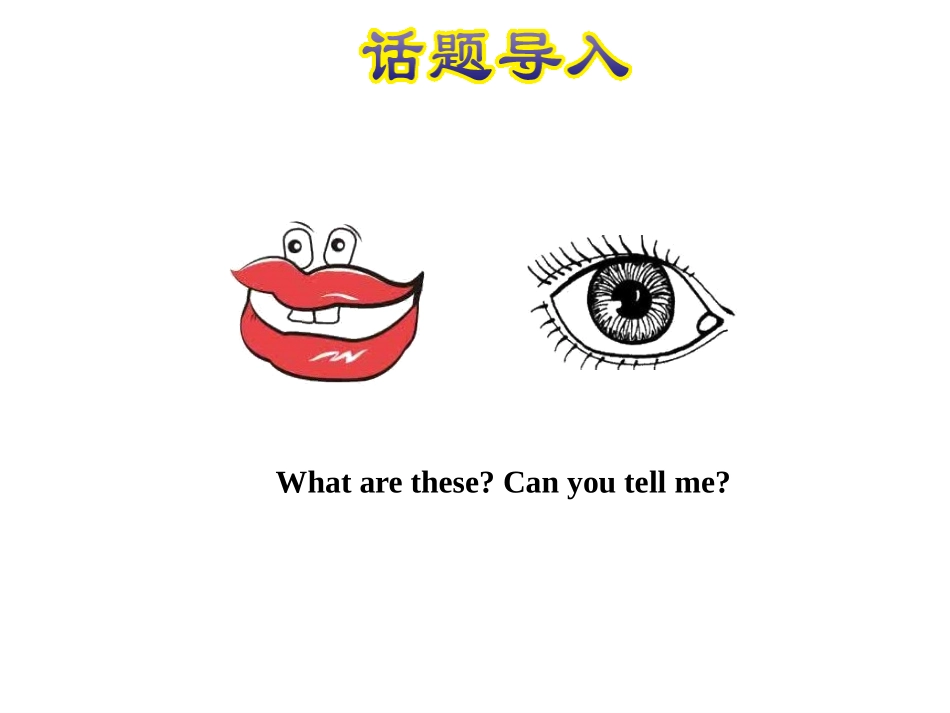 《Left and Right》Feelings and Body PPT课件_第2页