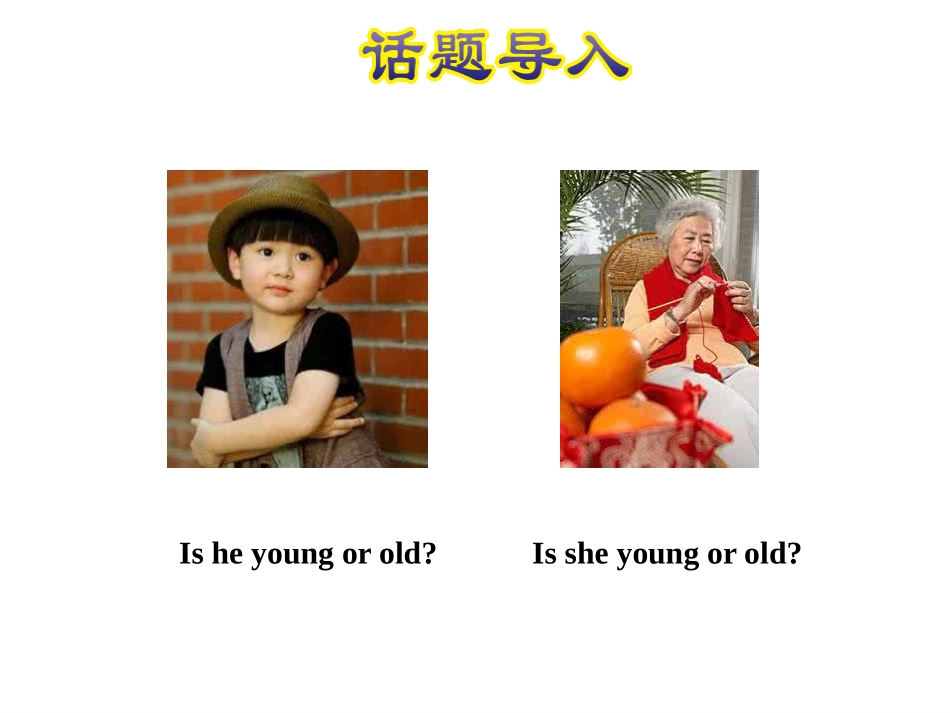 《How old are you?》Family PPT课件_第2页