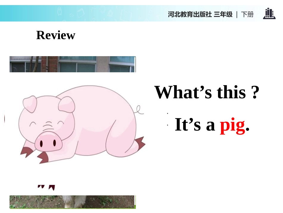 《Cats and dogs》Animals on the Farm PPT课件_第2页