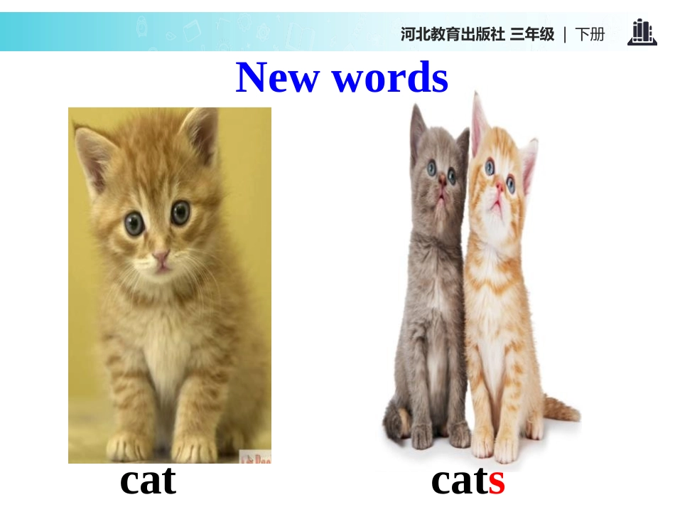 《Cats and dogs》Animals on the Farm PPT课件_第3页