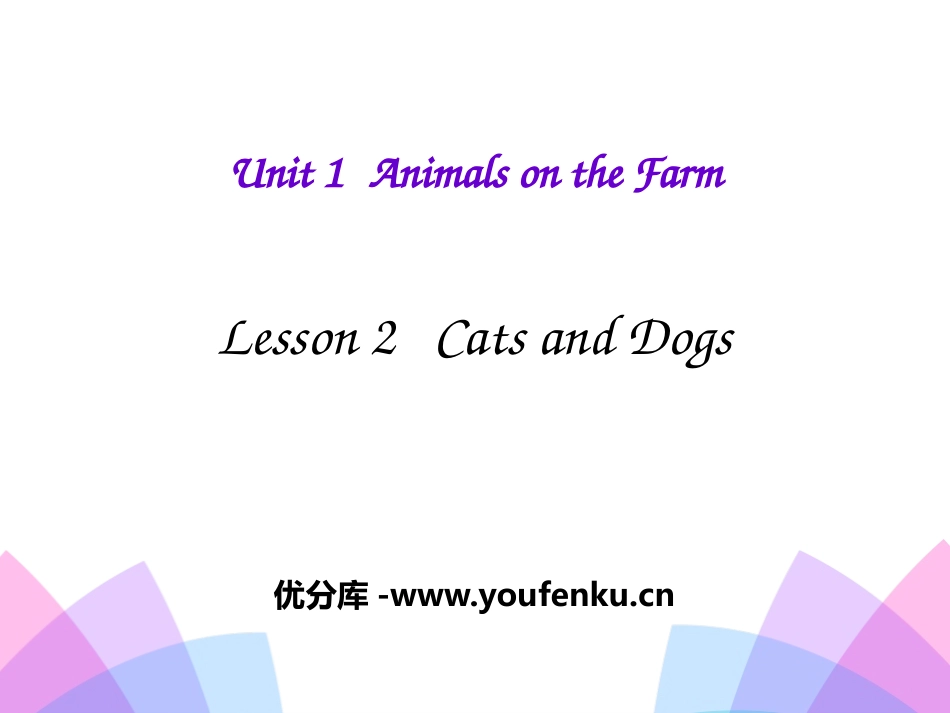 《Cats and dogs》Animals on the Farm PPT课件_第1页