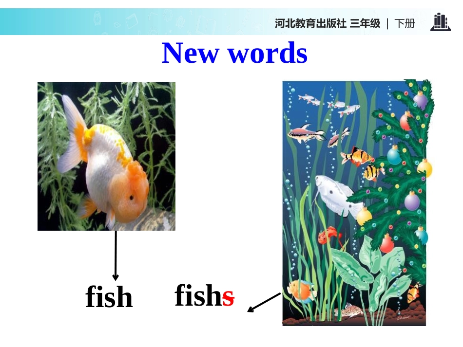 《Fish and Birds》Animals on the Farm PPT课件_第3页