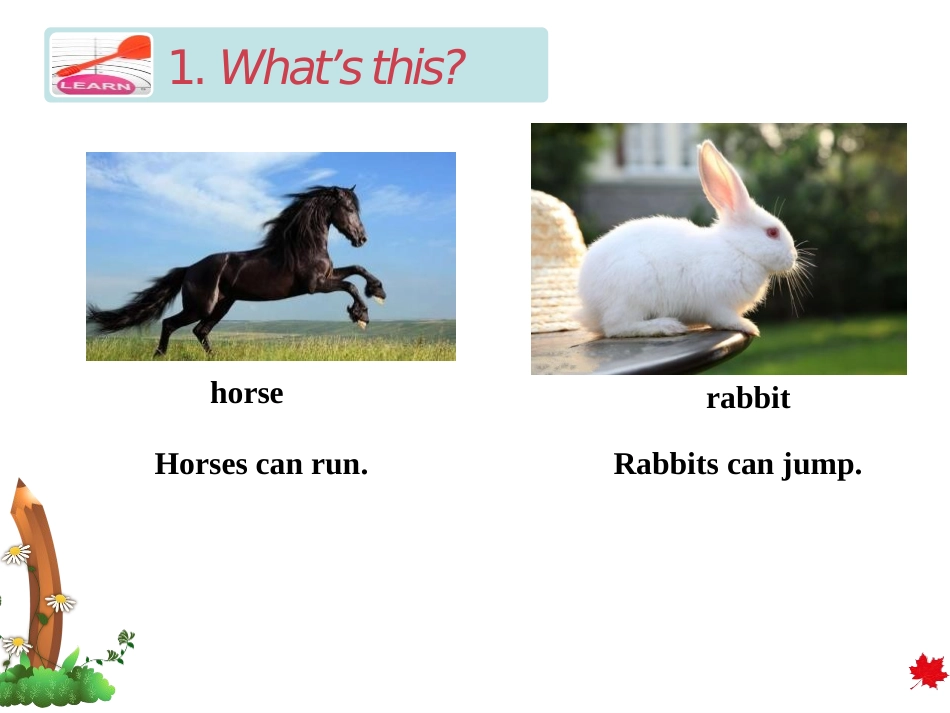 《Horses and Rabbits》Animals on the Farm PPT课件_第2页
