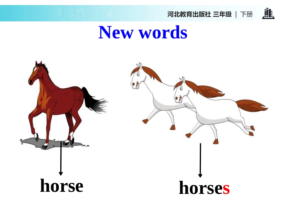 《Horses and Rabbits》Animals on the Farm PPT课件_第3页