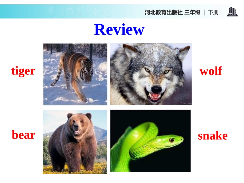 《How many?》Animals at the zoo PPT课件_第2页