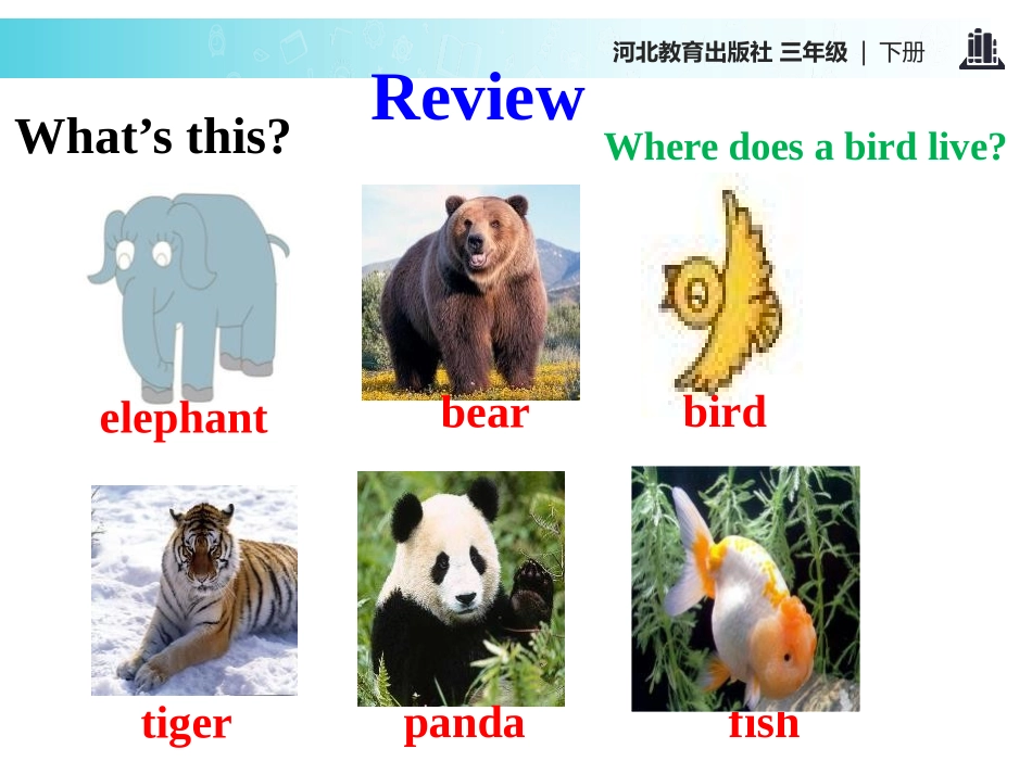《Where Do They Live?》Animals at the zoo PPT课件_第3页