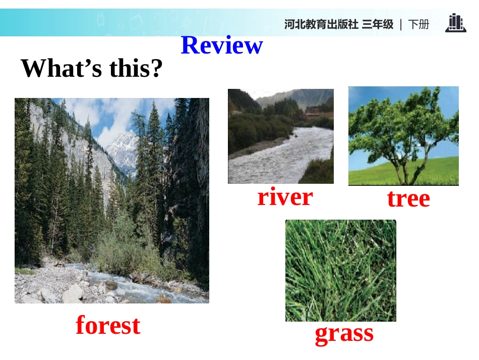 《What Do They Eat?》Animals at the zoo PPT课件_第2页
