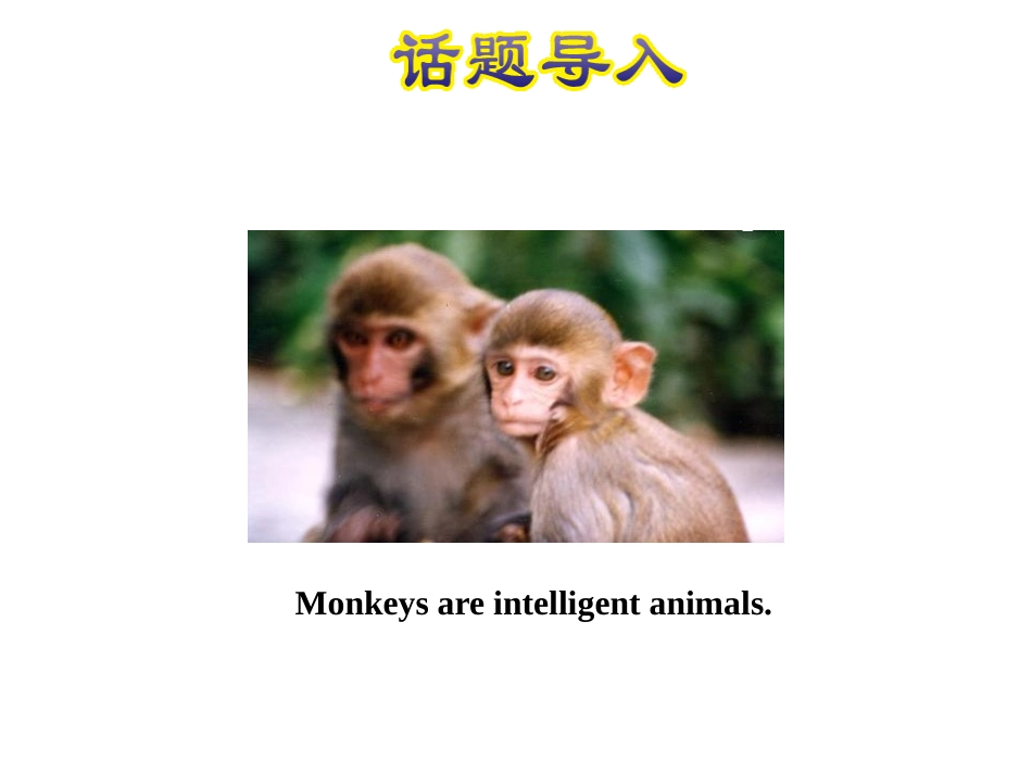 《The Clever Monkey》Animals at the zoo PPT课件_第2页