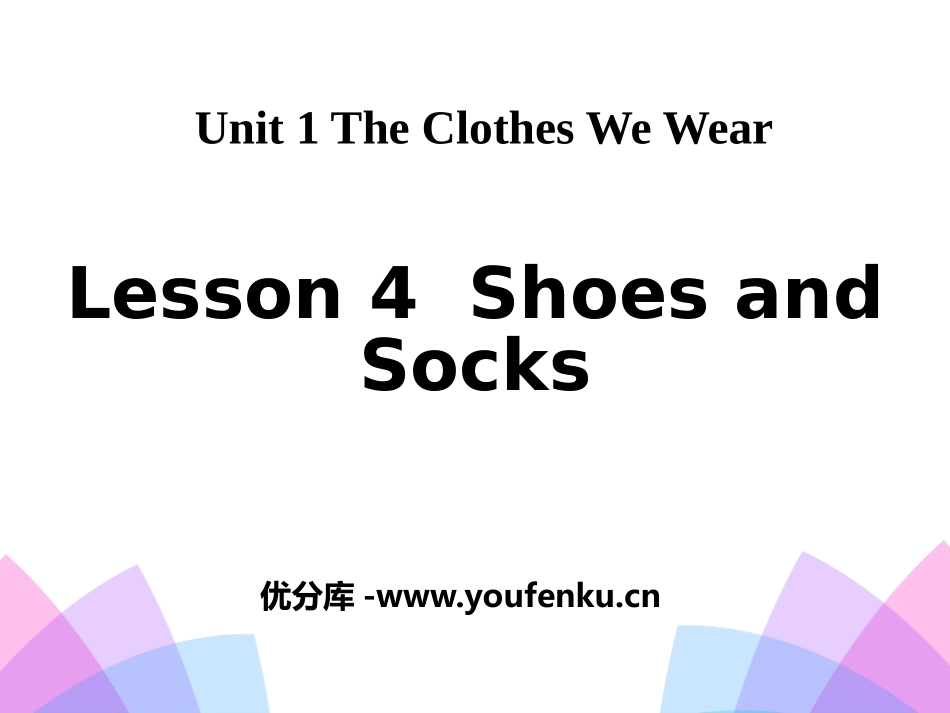 《Shoes and Socks》The Clothes We Wear PPT课件_第1页