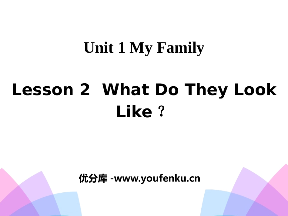 《What Do They Look Like?》My Family PPT课件_第1页