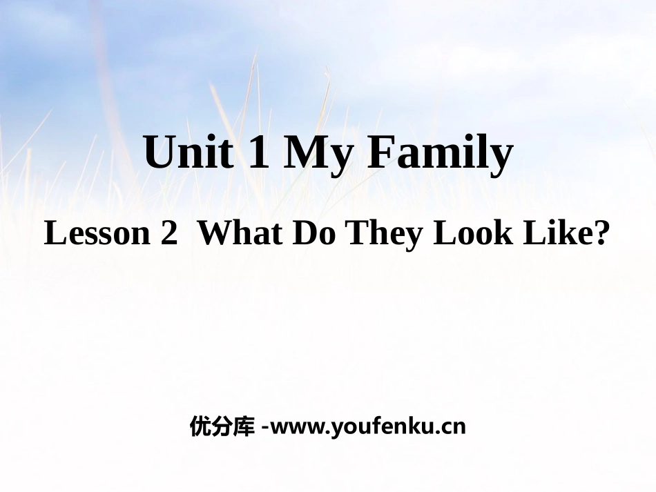 《What Do They Look Like?》My Family PPT课件_第1页