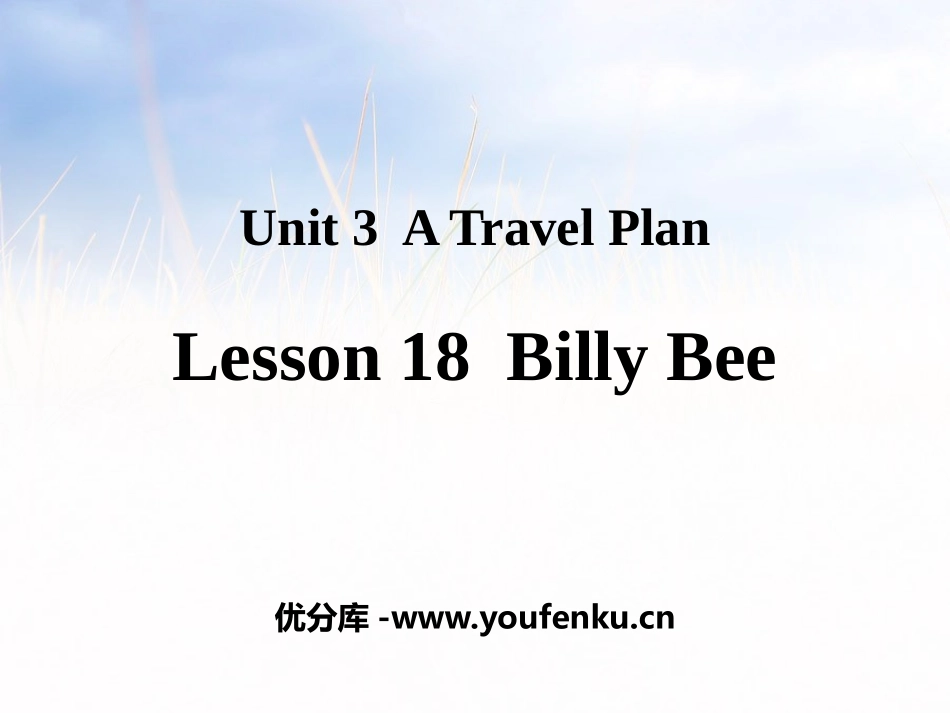 《Billy Bee》A Travel Plan PPT课件_第1页