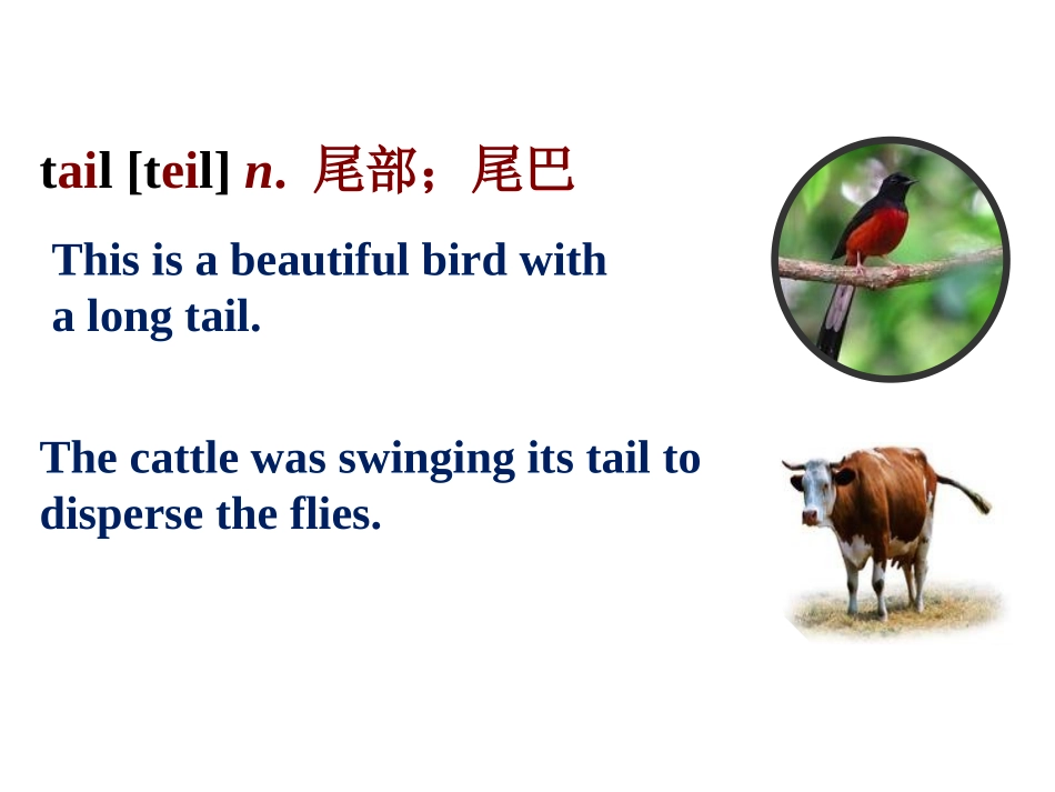 《Tall or Short》Body Parts and Feelings PPT课件_第3页