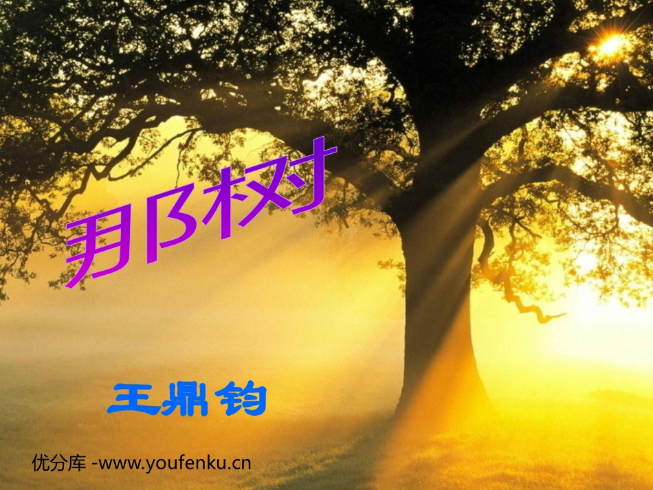 《那树》PPT课件[部编版九年级语文下册]_第1页