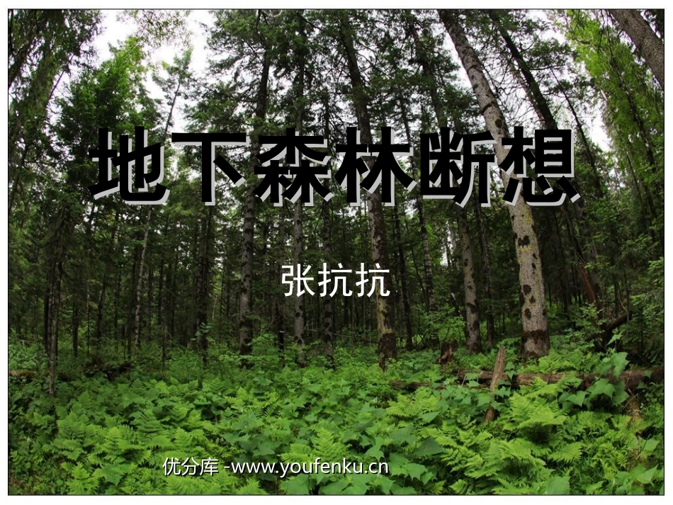 《地下森林断想》PPT课件[部编版九年级语文下册]_第1页