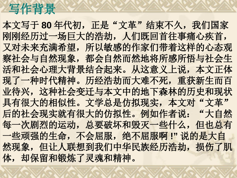 《地下森林断想》PPT课件[部编版九年级语文下册]_第3页