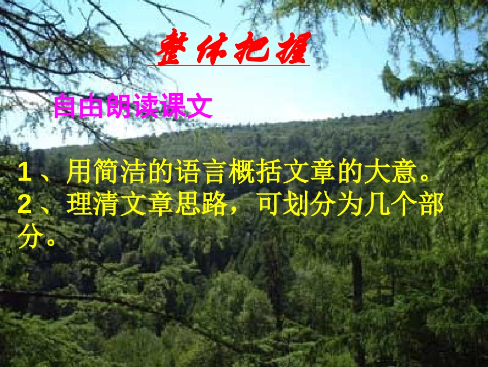 《地下森林断想》PPT课件[部编版九年级语文下册]_第2页