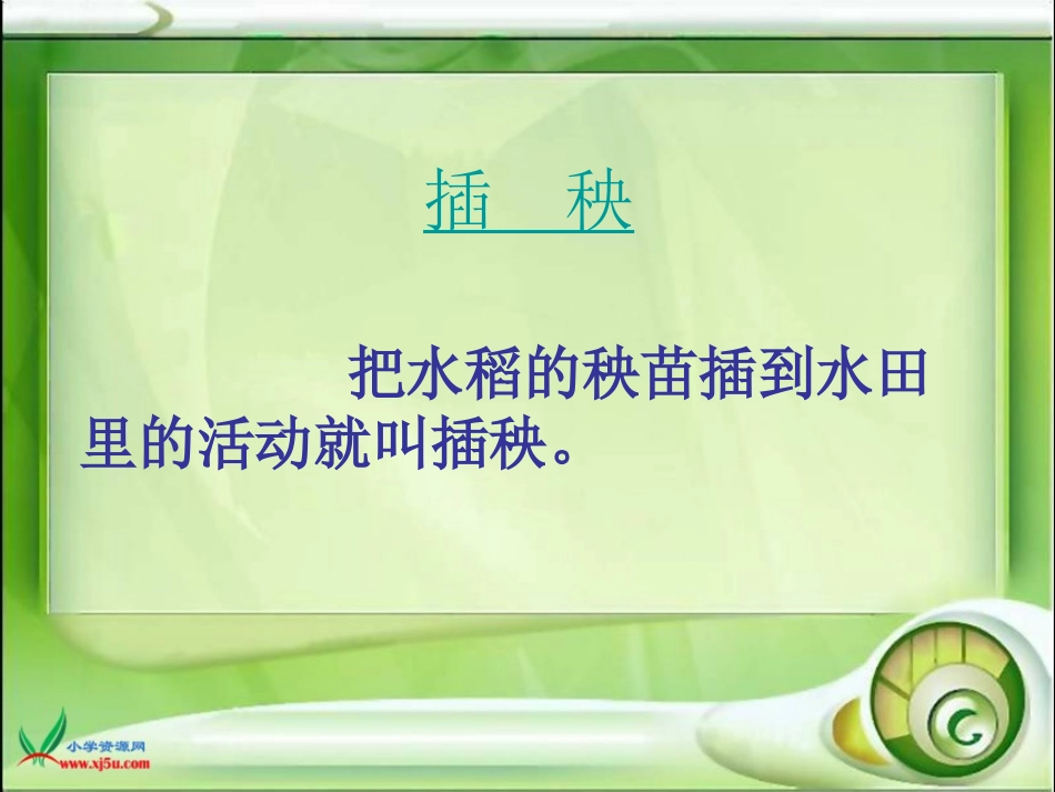 《插秧》PPT课件[北师大版一年级语文下册]_第2页