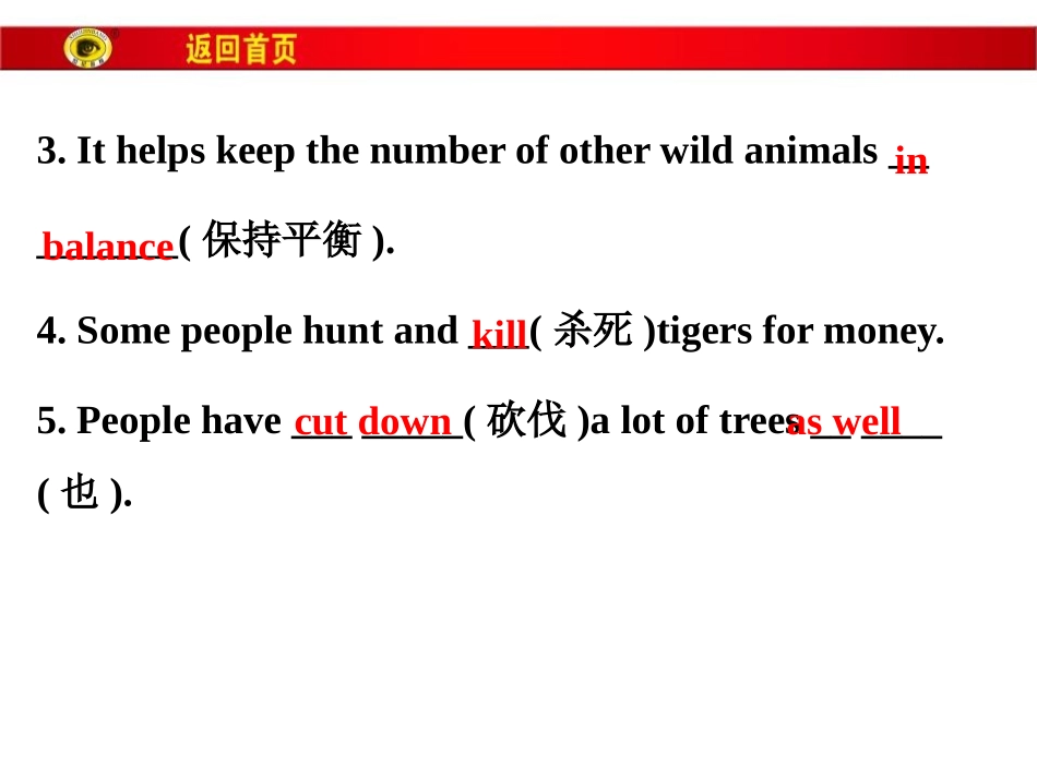 《Save the Tigers》Animals Are Our Friends PPT课件_第3页