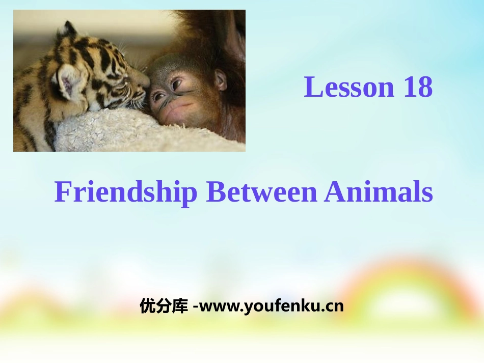 《Friendship Between Animals》Animals Are Our Friends PPT课件_第1页