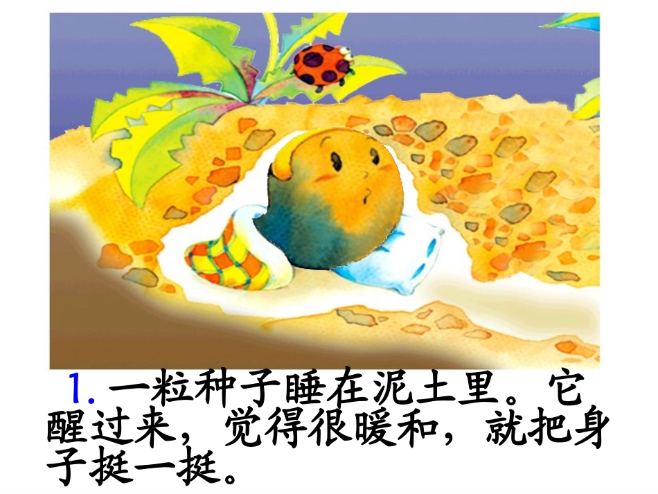 《一粒种子》PPT课件[北师大版一年级语文下册]_第3页