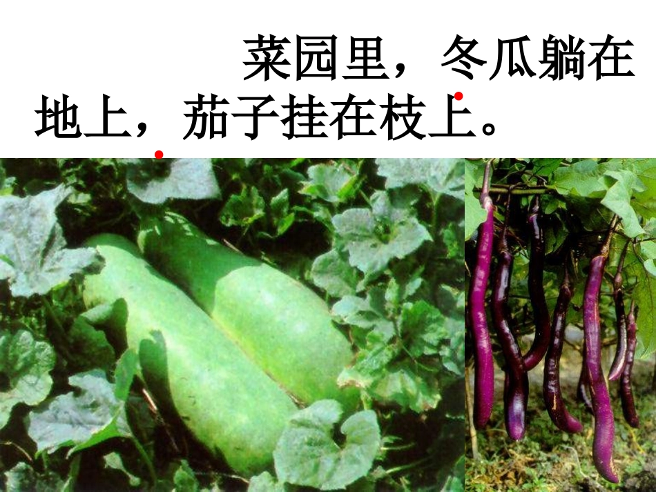 《燕子妈妈笑了》PPT课件[北师大版一年级语文下册]_第3页
