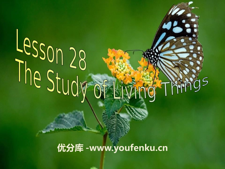 《The Study of Living Things》Look into Science! PPT课件_第1页
