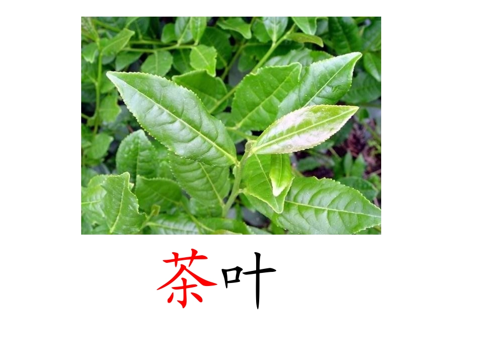 《丁丁冬冬学识字》PPT课件[北师大版一年级语文下册]_第3页