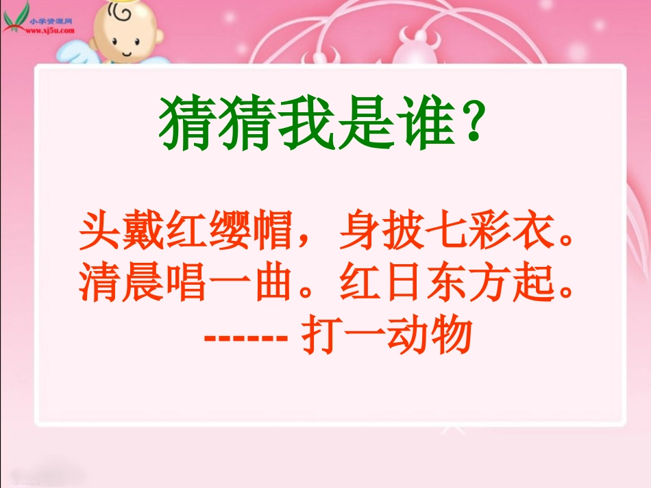 《快乐的小公鸡》PPT课件[北师大版一年级语文下册]_第3页