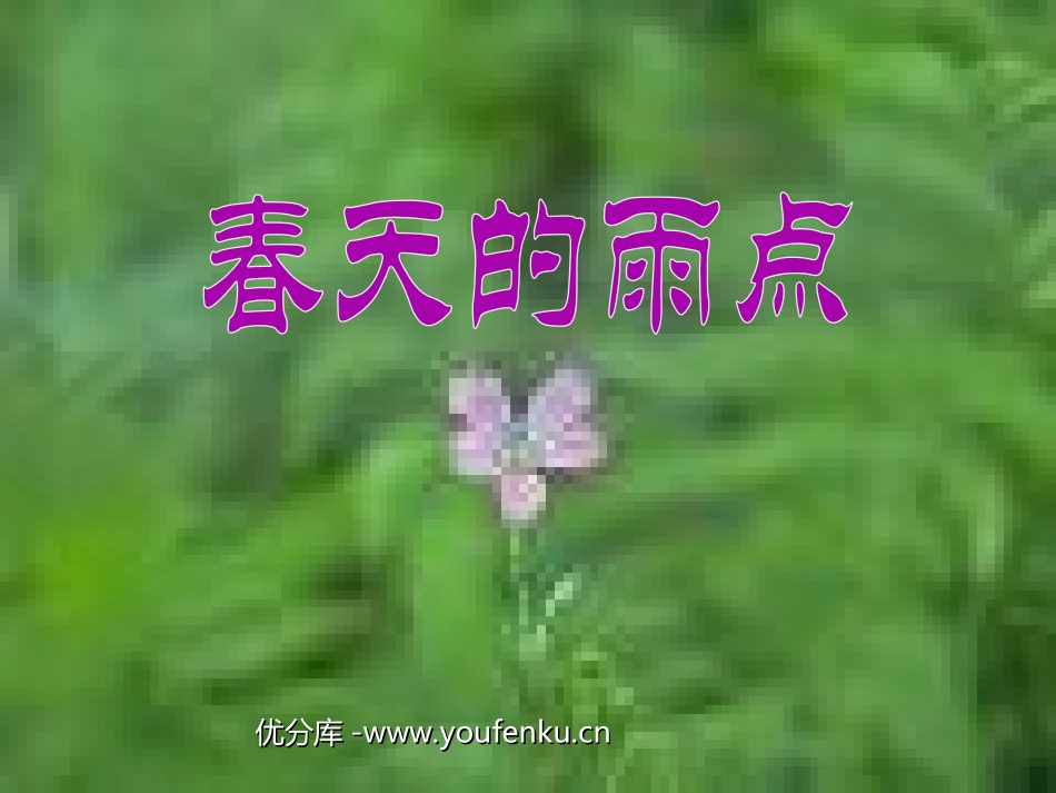 《春天的雨点》PPT课件[北师大版三年级语文下册]_第1页