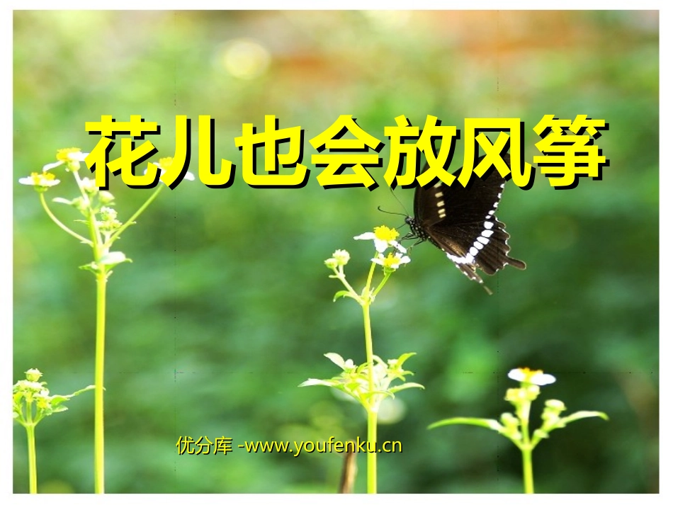 《花儿也会放风筝》PPT课件[北师大版三年级语文下册]_第1页