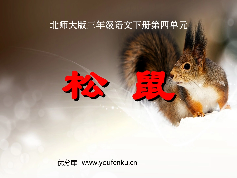 《松鼠》PPT课件[北师大版三年级语文下册]_第1页