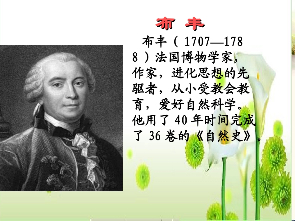 《松鼠》PPT课件[北师大版三年级语文下册]_第3页