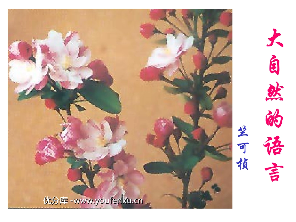 《大自然的语言》PPT课件[北师大版三年级语文下册]_第1页