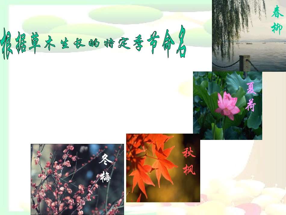《大自然的语言》PPT课件[北师大版三年级语文下册]_第3页