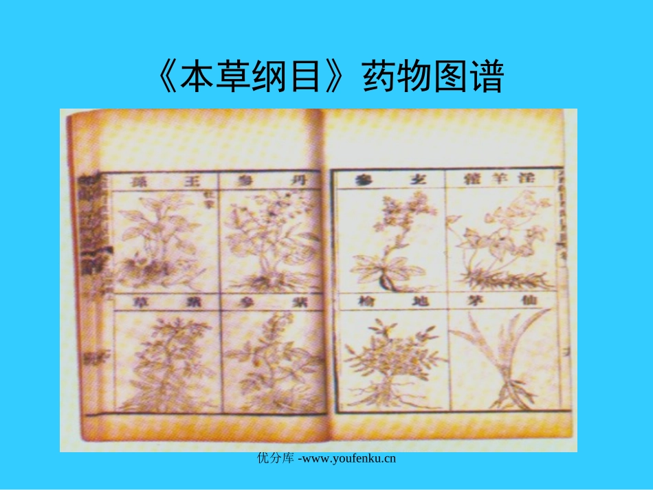 《李时珍》PPT课件[北师大版三年级语文下册]_第2页
