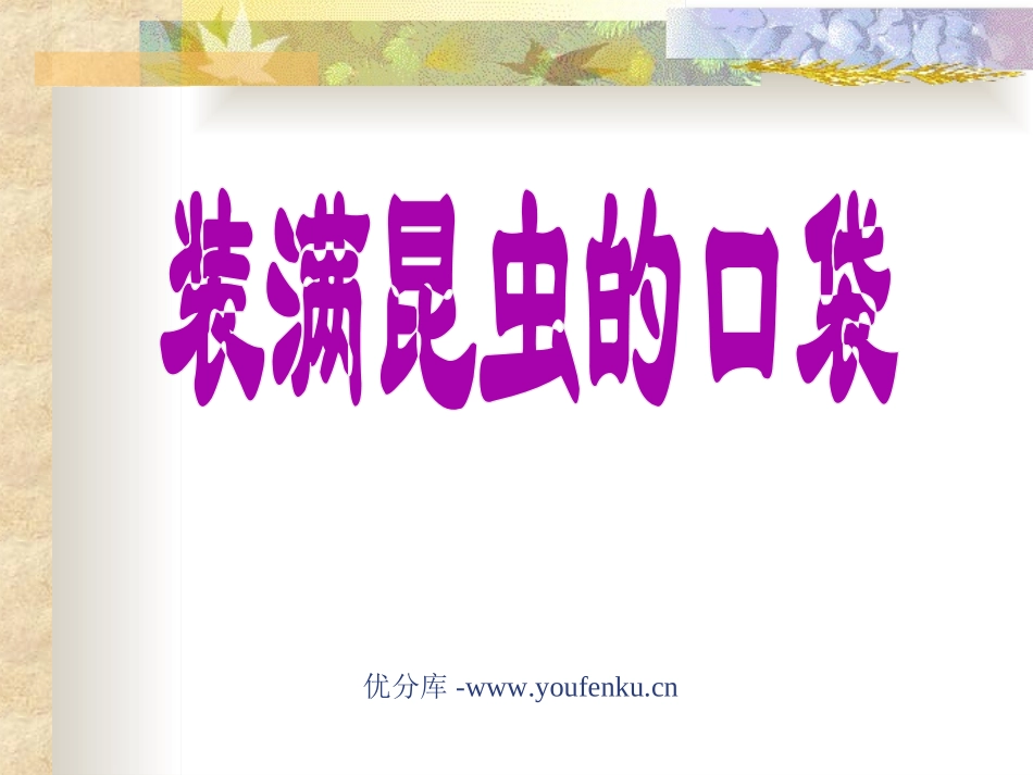 《装满昆虫的口袋》PPT课件[北师大版三年级语文下册]_第1页