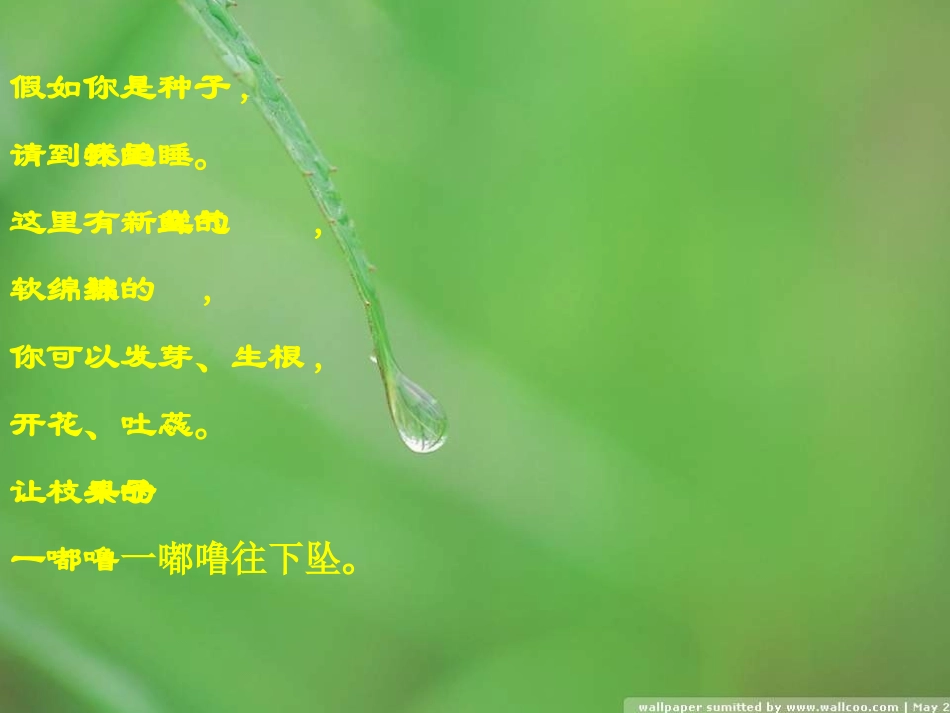 《大地的话》PPT课件[北师大版四年级语文下册]_第2页