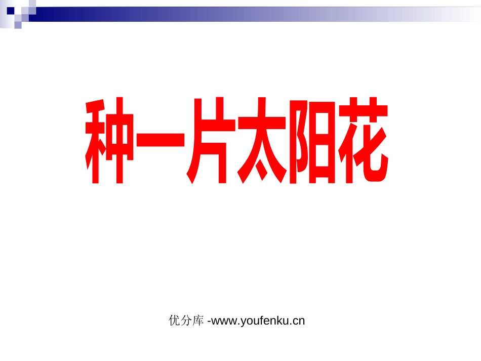 《种一片太阳花》PPT课件[北师大版四年级语文下册]_第1页