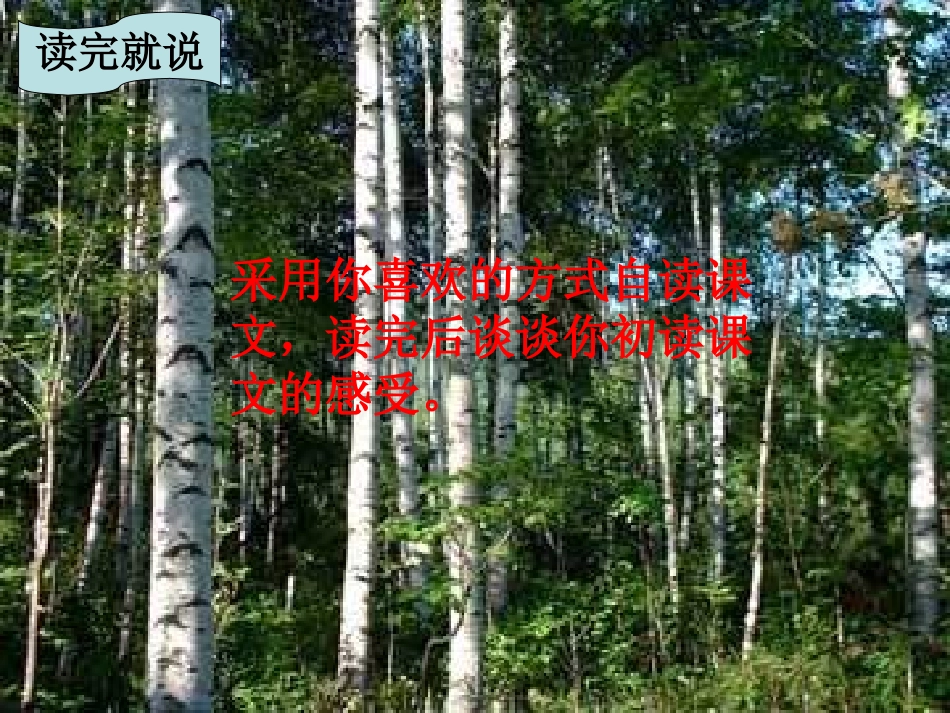 《一双手》PPT课件[北师大版四年级语文下册]_第3页