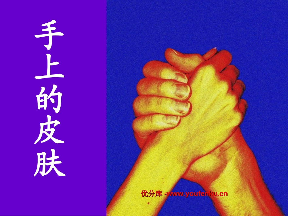 《手上的皮肤》PPT课件[北师大版四年级语文下册]_第1页
