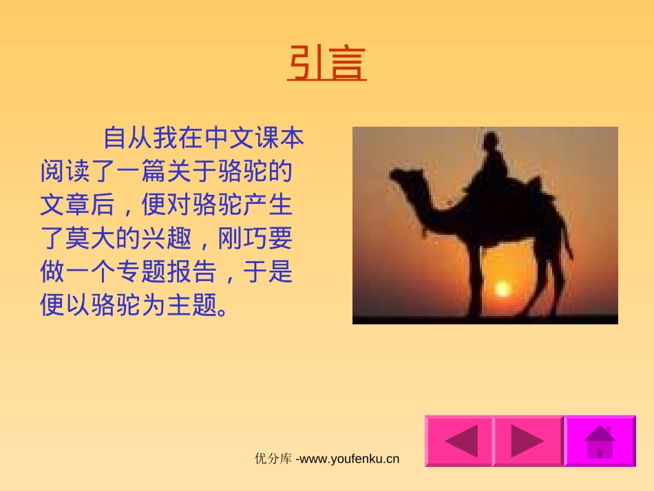 《沙漠之舟》PPT课件[北师大版四年级语文下册]_第3页