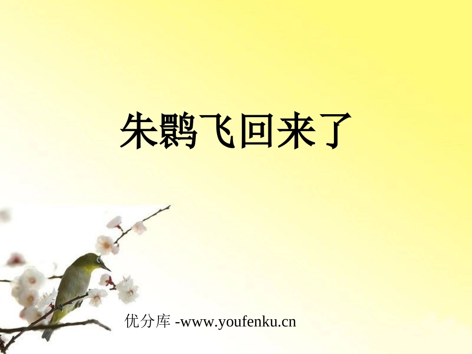 《朱鹮飞回来了》PPT课件[北师大版四年级语文下册]_第1页