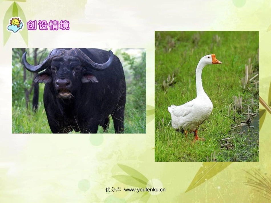 《牛和鹅》PPT课件[北师大版五年级语文下册]_第2页