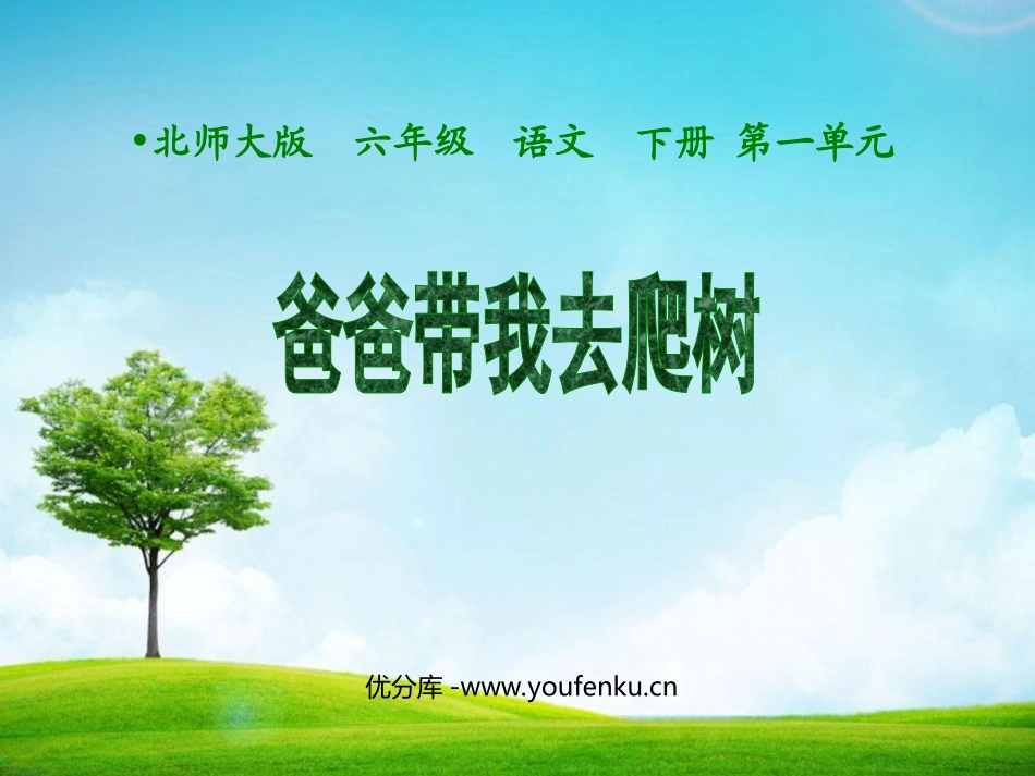 《爸爸带我去爬树》PPT课件[北师大版六年级语文下册]_第1页