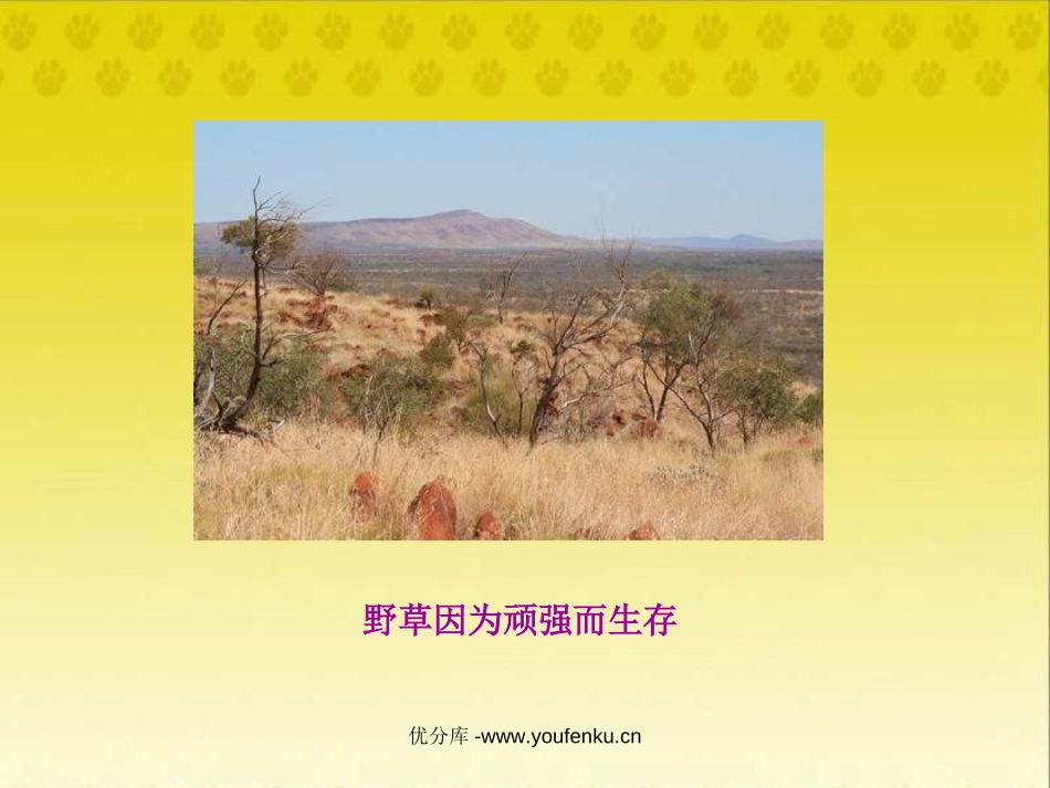 《人生礼赞》PPT课件[北师大版六年级语文下册]_第3页